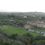 Zorbas